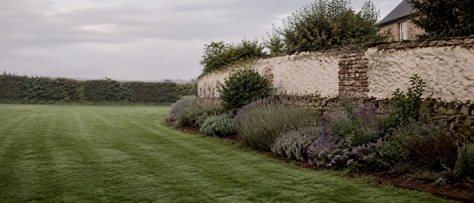 Lawn and a lavender border