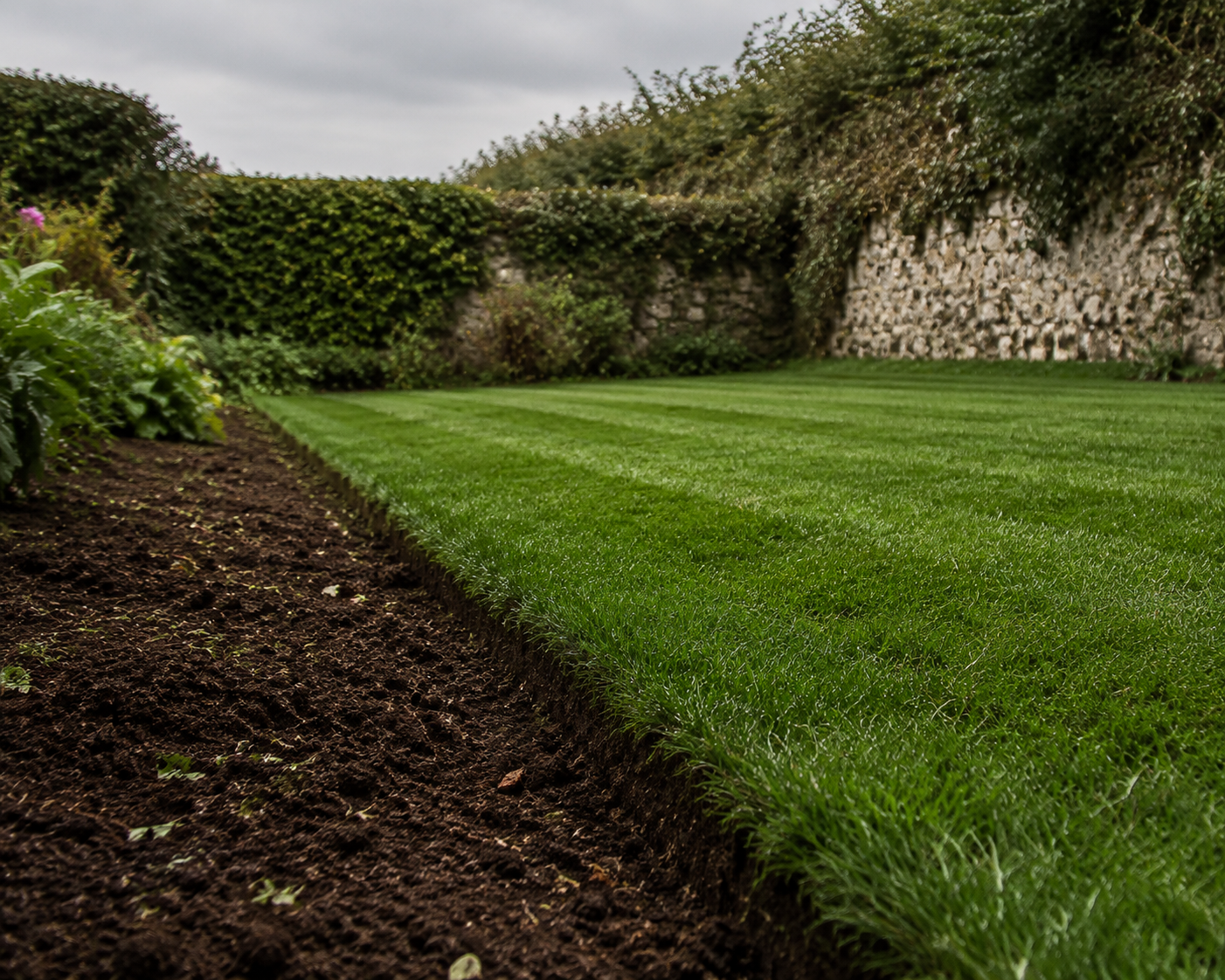 Mown lawn, edges cut